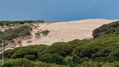 Sol abrasador sobre la duna de la playa Bolonia en Cádiz. Donde se ubica el conjunto arqueológico de Baelo Claudia. photo