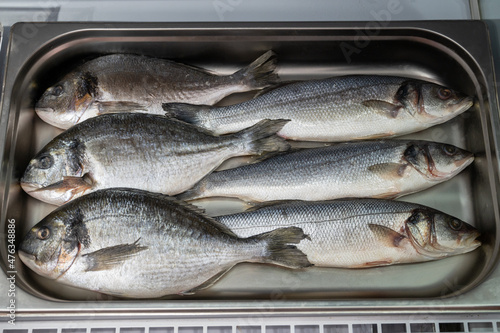 Fresh raw dorado and sea ba...