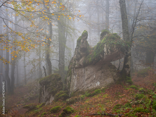 Tomada dentro de un hayedo en la sierra de Urbasa, Navarra, España,  se accede por la senda de los cazadores, y se caracteriza por las caprichosas formas de rocas gigantescas que hay dentro de el. photo