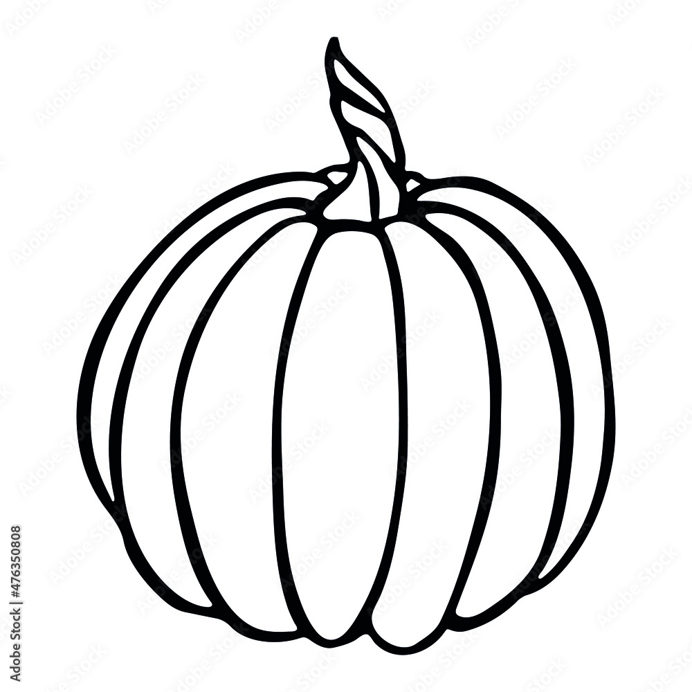 Vector hand drawn illustration of pumpkin. Isolated object on white background. Vegetable harvest clip art. Farm market product. Elements for autumn design, decoration. Vector hand drawn illustration of pumpkin. Isolated object on white background. Vegetable harvest clip art. Farm market product. Elements for autumn design, decoration.