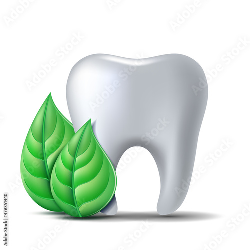 White tooth with green leaves. Green fresh leaves clean fresh concept.