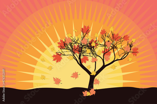 Autumn maple tree and sunset sky © AnnaPa