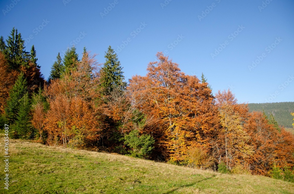 autumn in the mountains