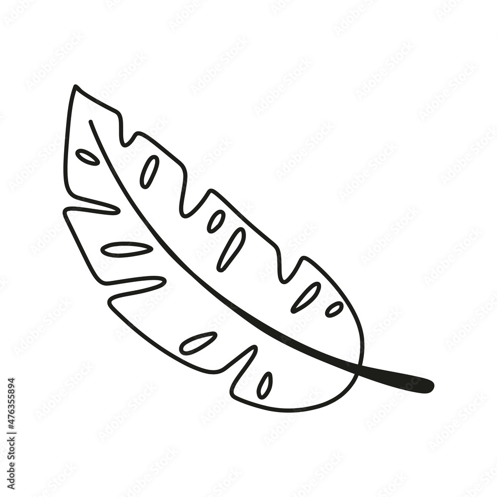 Tropical Leaves in doodle style. Vector hand drawn black line design element. Exotic summer botanical illustration. Tropical Leaves in doodle style. Vector hand drawn black line design element. Exotic summer botanical illustration.