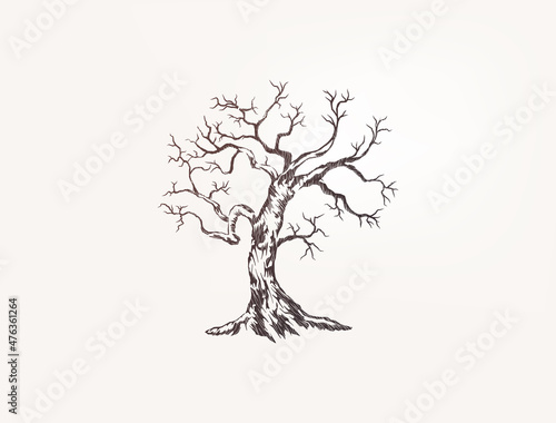 drought tree vector illustrations. printable image with dry tree concept.