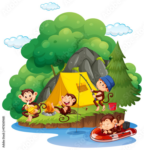 Isolated forest with monkeys camping