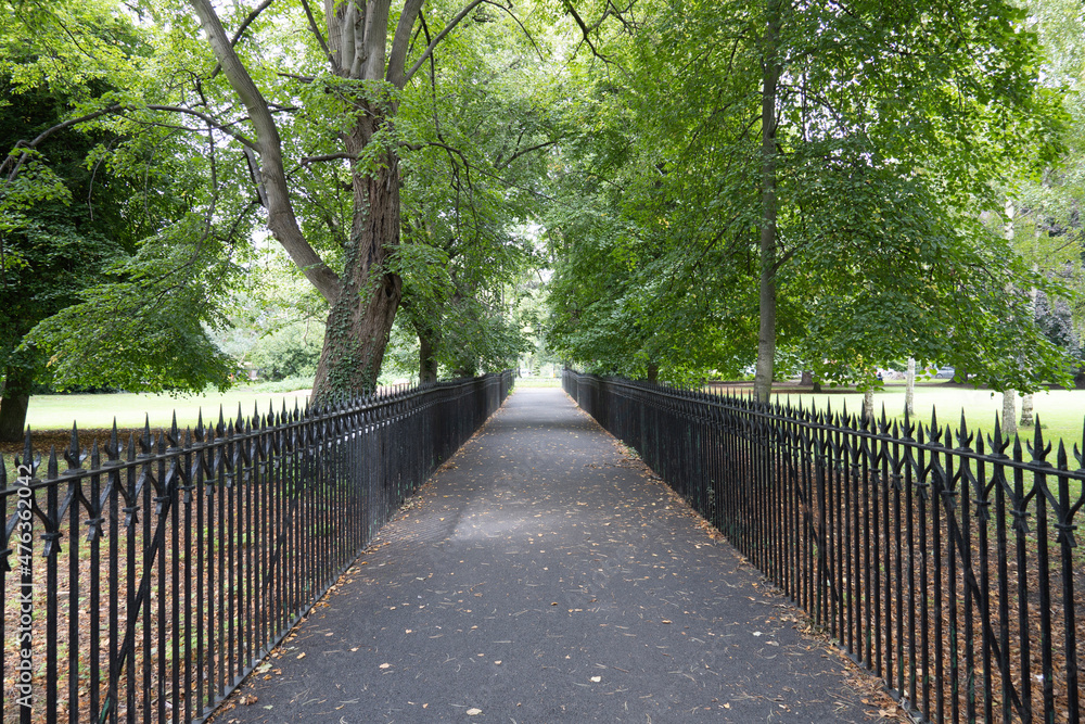 wooden bridge in the park wooden bridge in the park