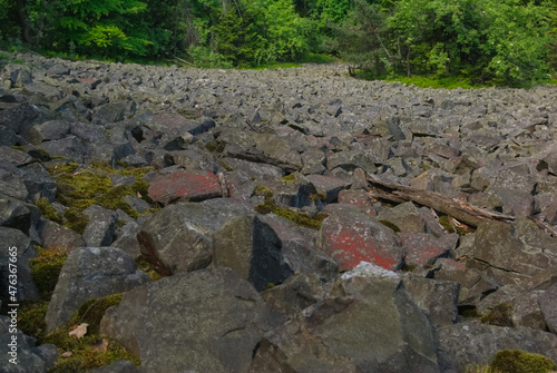 stone path in the forest