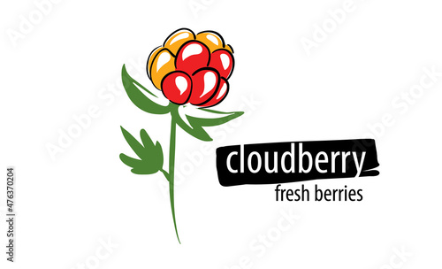 Drawn vector cloudberry on a white background