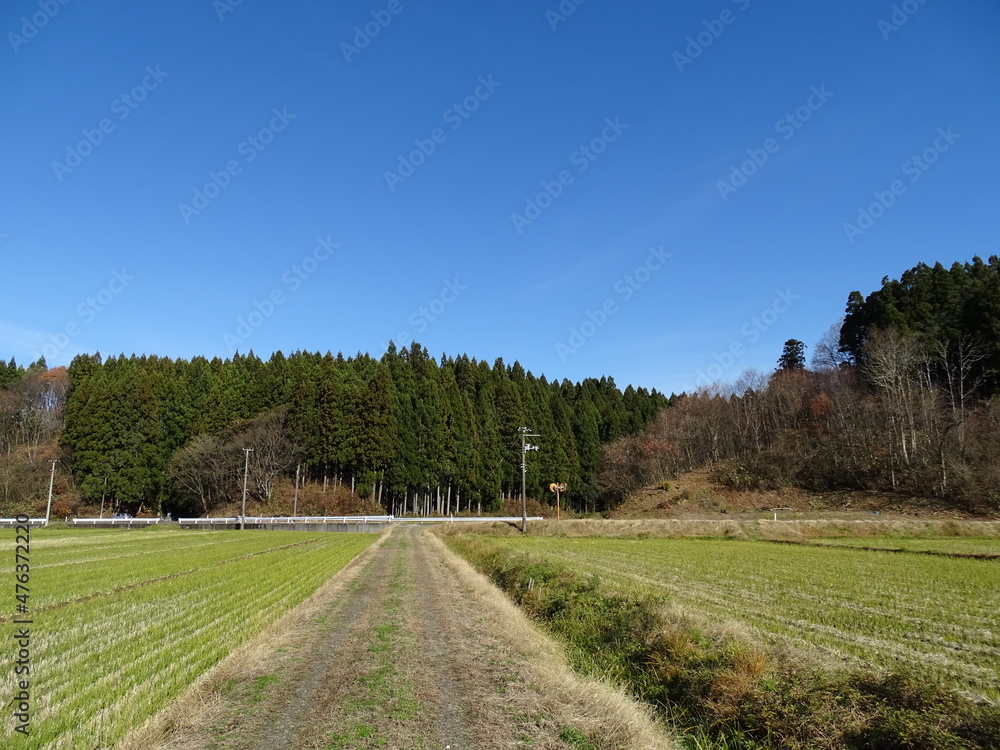 晩秋の農村風景