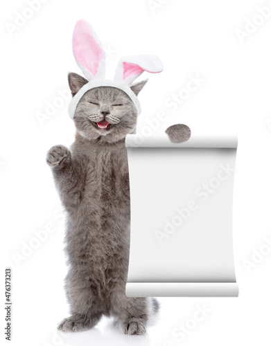 Happy cat wearing Easter rabbits ears shows empty list. Isolated on white background