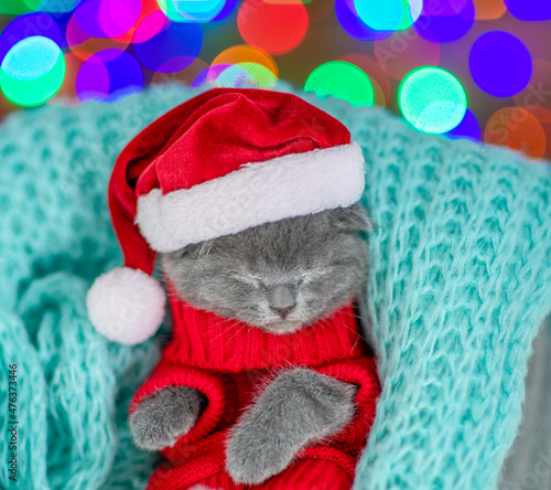 Cute tiny kitten wearing warm sweater  and santa hat sleeps inside a basket. Top down view