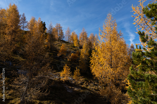 dolomites in fall