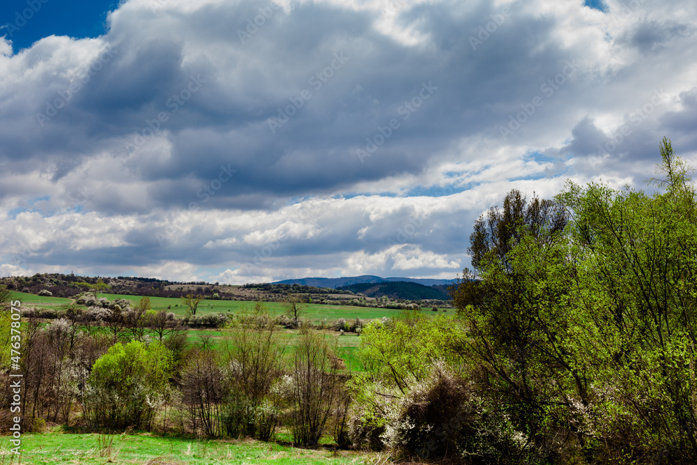 Obraz premium landscape with clouds