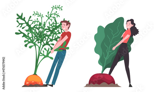 Little Man and Woman Pulling Huge Carrot and Beetroot out of the Ground Vector Set