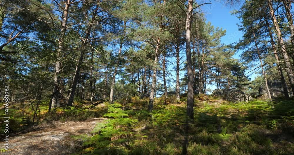 View of the Gorges de Franchard. The Forest of Fontainebleau, Seine et Marne department, France. View of the Gorges de Franchard. The Forest of Fontainebleau, Seine et Marne department, France.