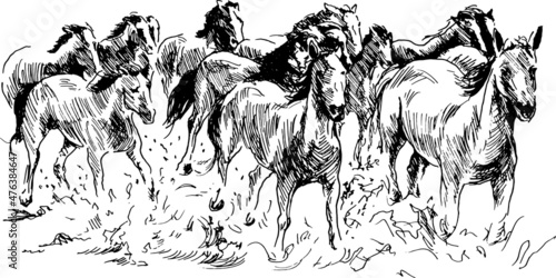Hand sketch herd of horses. Vector illustration.