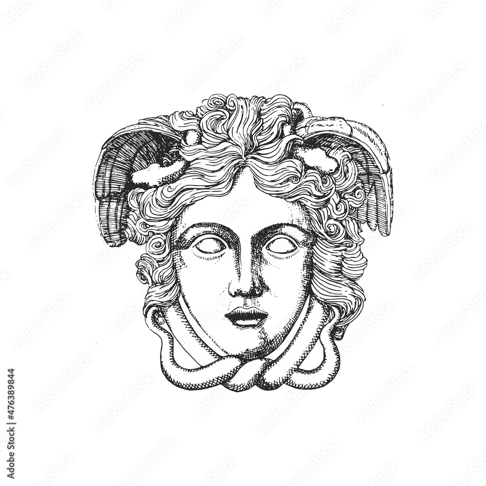 Medusa, illustration in vector. Gorgo head drawing Medusa, illustration in vector. Gorgo head drawing