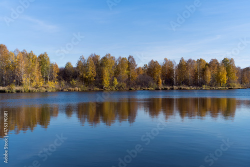 Autumn on a forest lake is in the midst of its beauty. The birches on the shore are colored in yellow-orange tones and are effectively reflected in the blue water. Harmony in nature. Russia, Ural 