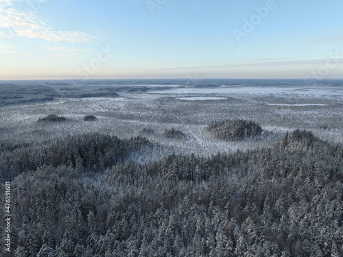 Aerial view of an Estonian landscape in winter