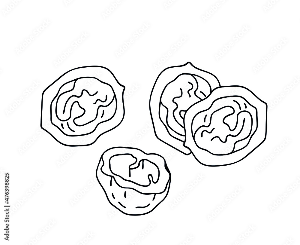 Walnut shell. Logo in black ink. Isolated vector element. Walnut shell. Logo in black ink. Isolated vector element.