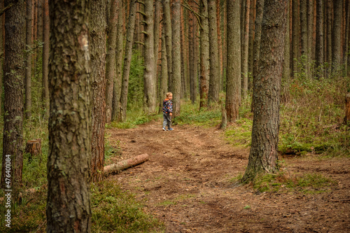 child in a coniferous forest, a pine forest, a child among tree trunks in the forest