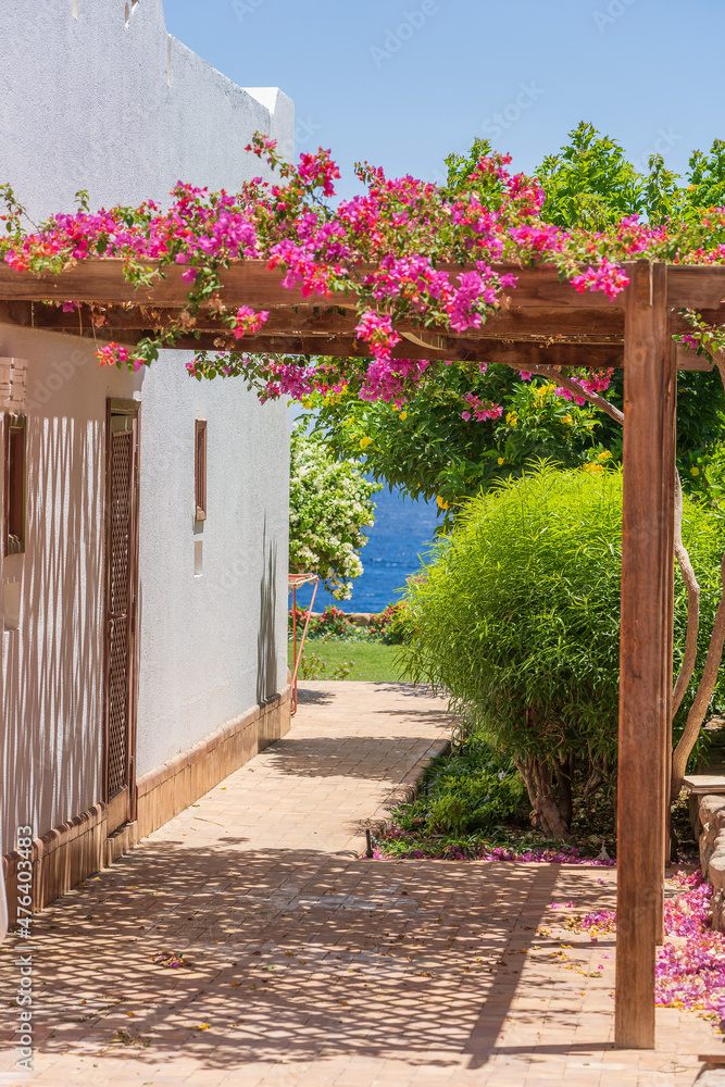 Fototapeta premium Parking for a car in the yard near the house in the form of an arch with garden flowers, Sharm El Sheikh, Egypt, Africa