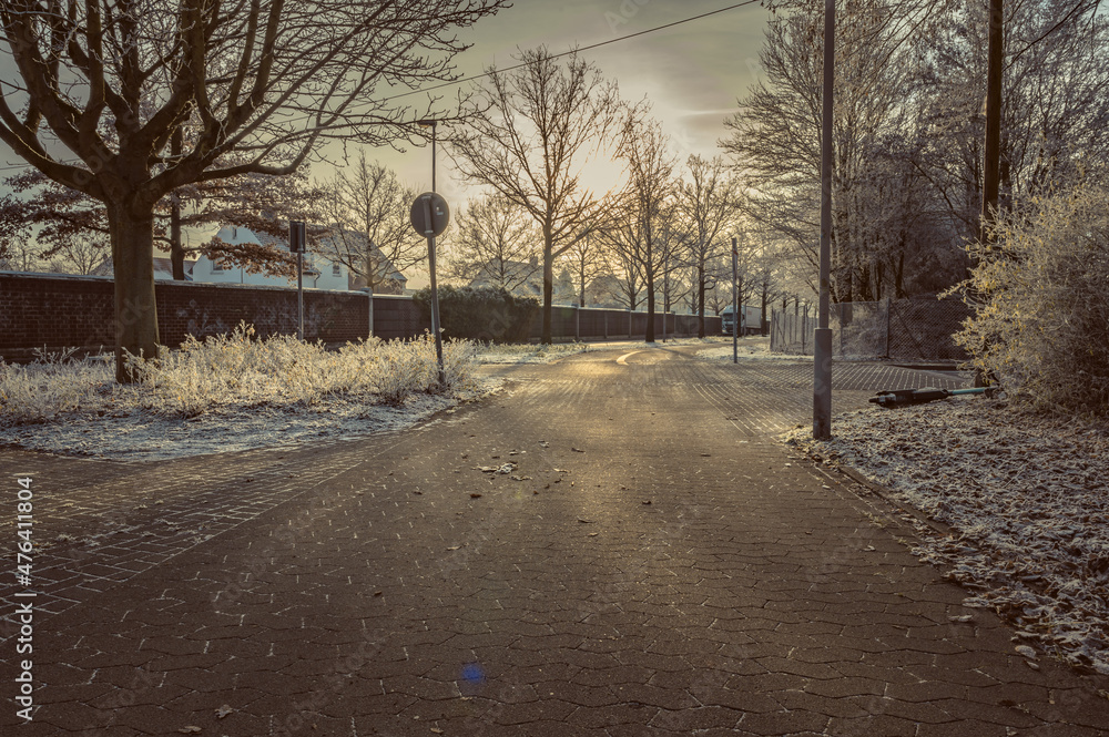 A footpath in winter with frost on the ground and trees A footpath in winter with frost on the ground and trees