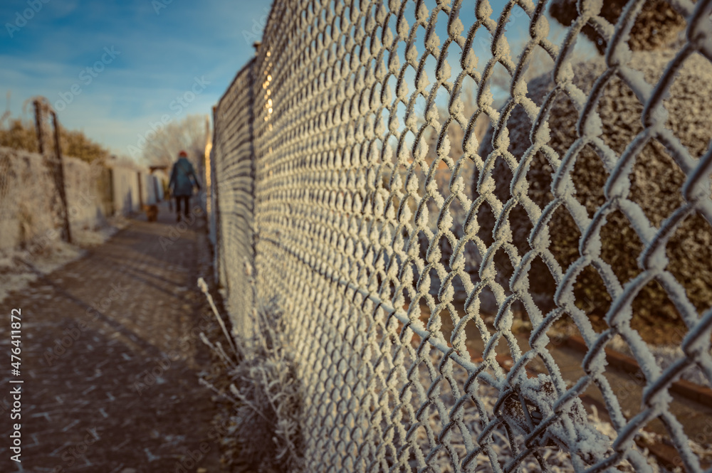 A wire mesh fence covered with frost in winter A wire mesh fence covered with frost in winter