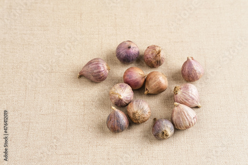 Single clover garlic or pearl garlic or solo garlic (Bawang putih tunggal) variety of Allium sativum. Selective focus image, copy space.
 photo