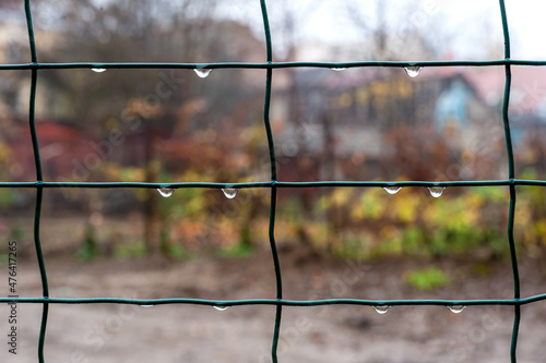 Bright raindrops on a piece of metal mesh on a colorful autumn background.