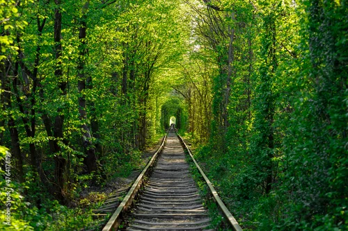 Obraz a railway in the spring forest tunnel of love