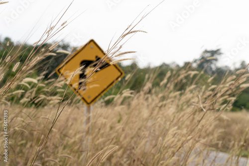 Traffic sign in grass