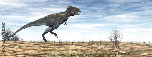 Fototapeta Naklejka Na Ścianę i Meble -  Nanotyrannus dinosaur in the desert - 3D render