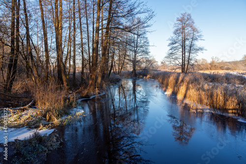 Łagodna zima w Dolinie Supraśli, Puszcza Knyszyńska, Podlasie, Polska