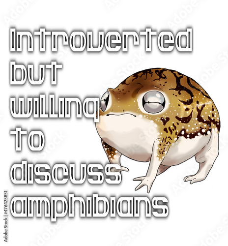 Digital illustration of a Desert Rainfrog (Breviceps macrops) with the humorous text 