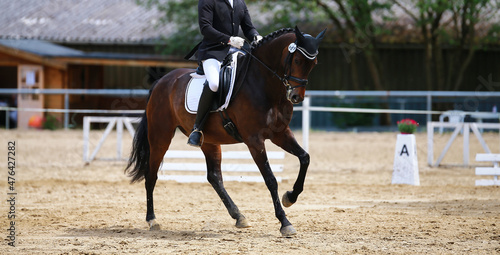 Dressage horse with rider on a tournament during the test at a gallop..