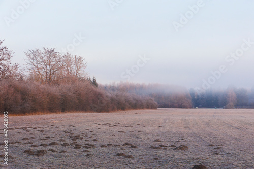 A hoarfrost covered misty meadow at sunrise in the Siebenbrunn nature reserve near Augsburg, Germany © were