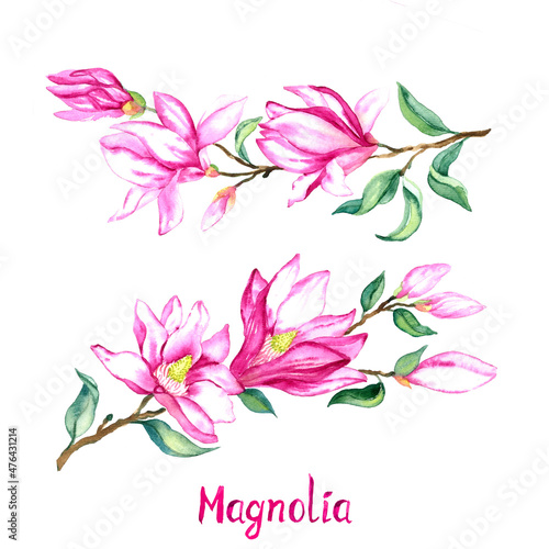 Magnolia twig with pink-purple flowers isolated on white hand painted watercolor illustration with handwritten inscription