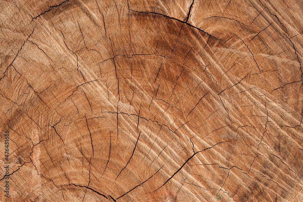Naklejka premium a wood wooden orange texture background