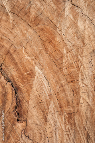 a wood wooden orange texture background