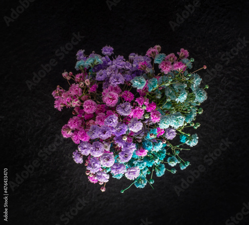 Top view of a flower on a black background. For design. Nature.