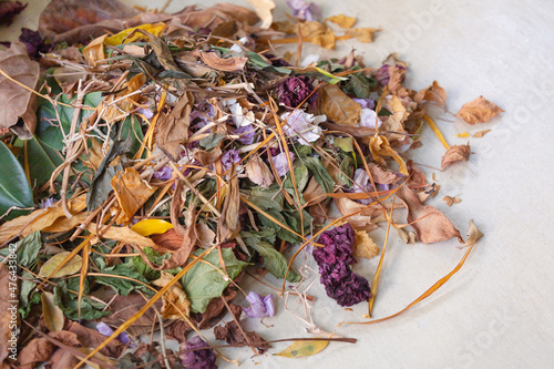 Dry leaves and flowers of indoor plants in natural light.Soft focus. Concept of garbage collection,cleaning, plant care.