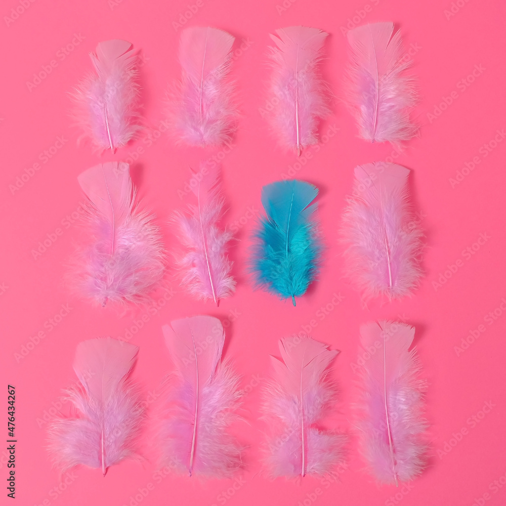 Obraz premium Pink feathers and one turquoise feather on a pink rose background. Equality, diversity concept. Minimal style.