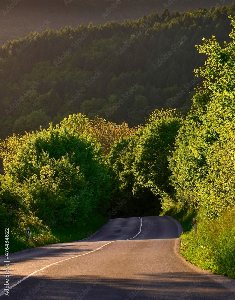 Road between Dolna Suca and Horna Suca with surrounding countryside - obrazy, fototapety, plakaty 