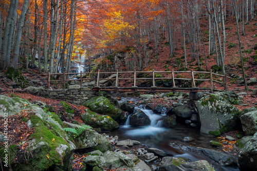 Wooden bridge over the stream of water in the autumn forest during the period of foliage. Dardagna waterfalls. photo