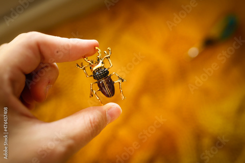 Fotografering brooch jewelry Insect breaks on a yellow knitted sweater, an inexpensive jewelry