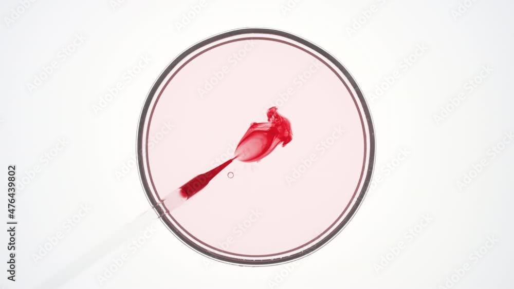 Top view macro shot of chemical dropper injects saturated red fluid into pale pink one in petri dish on white background | Abstract face care cosmetics formulating concept Top view macro shot of chemical dropper injects saturated red fluid into pale pink one in petri dish on white background | Abstract face care cosmetics formulating concept