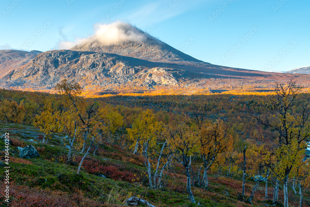 Beautiful, vivid autumn colors in remote arctic landscape. Wild nature of Stora Sjofallet national park, Sweden. Remote wilderness on sunny autumn day. Yellow and orange colors in nature.
