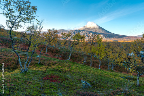 Beautiful, vivid autumn colors in remote arctic landscape. Wild nature of Stora Sjofallet national park, Sweden. Remote wilderness on sunny autumn day. Yellow and orange colors in nature. photo